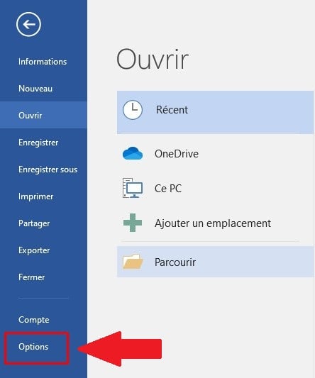 Word 中的选项部分