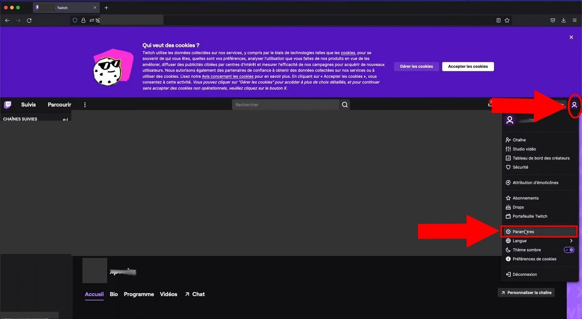 Menü des Twitch-Profils, das mit der Option Einstellungen geöffnet wird