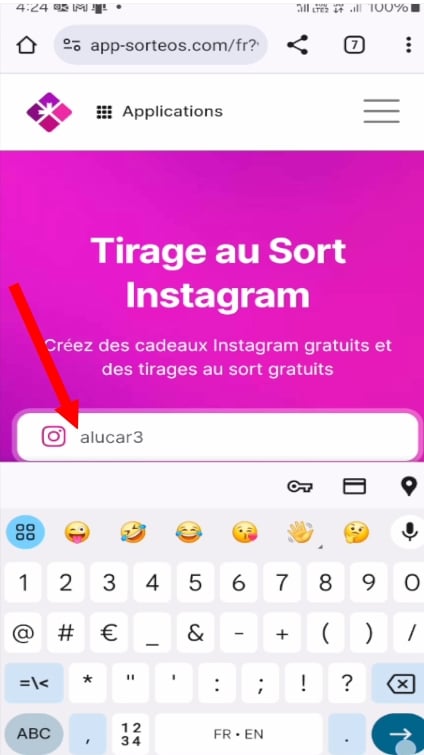 在网站上输入您的 Instagram 用户名 