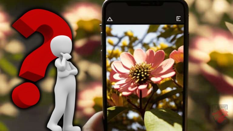 How to identify a plant using a photo on your cell phone