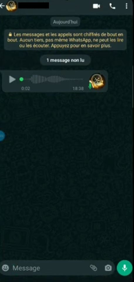 Голосовое сообщение, отправленное одним из контактов в WhatsApp.