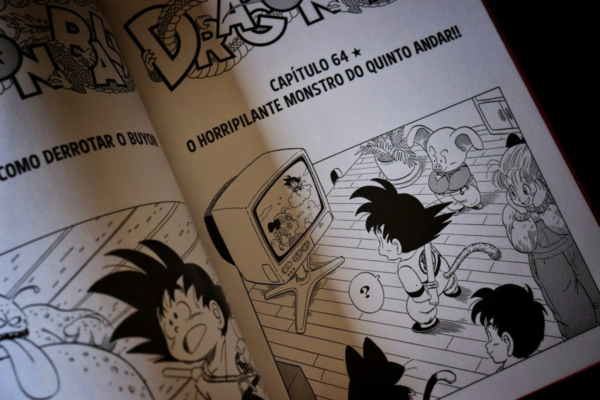 Ein Teil des Mangas Dragon Ball