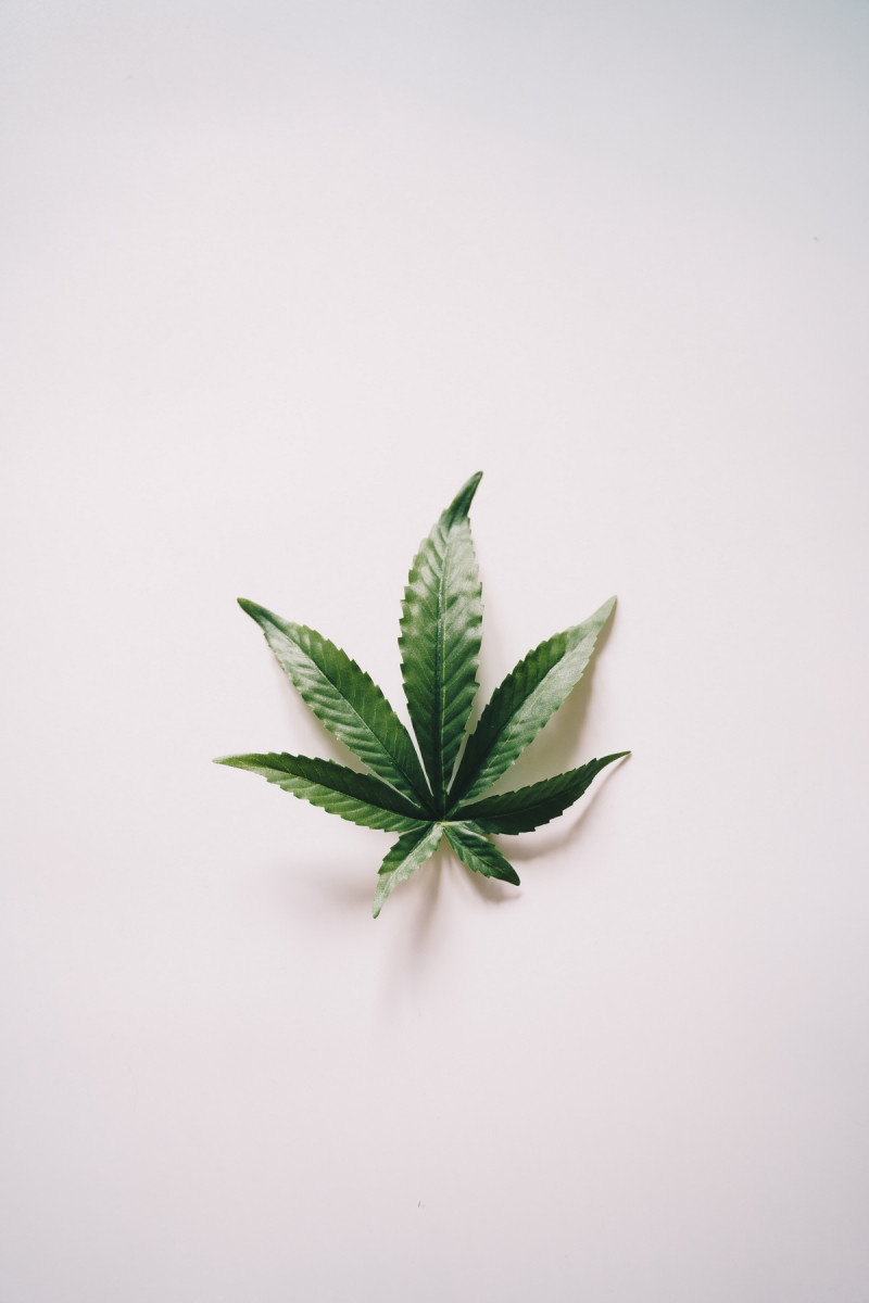 Illustration en image d'une feuille de cannabis