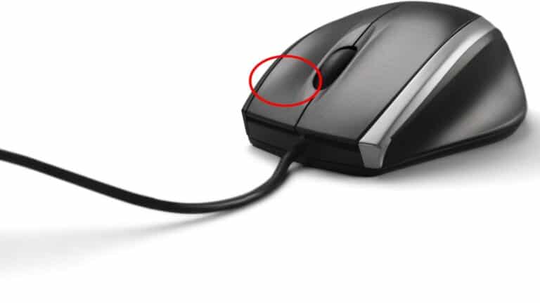 Illustration en image d'une souris avec un rond sur la partie droite