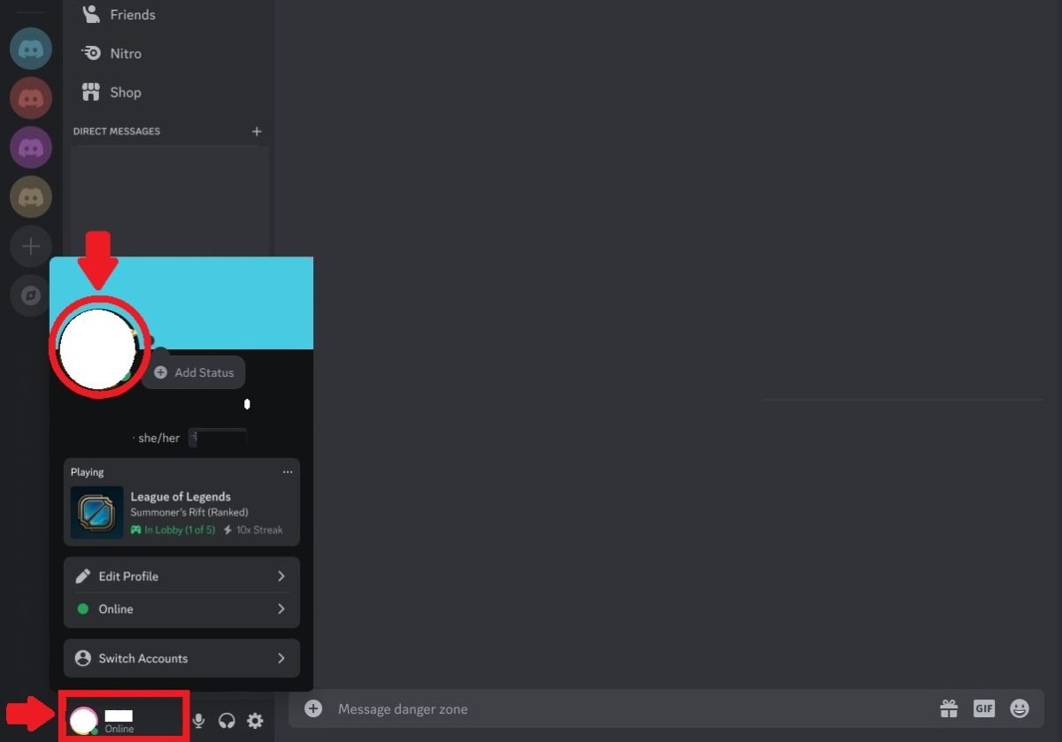 Capture d'écran du Profil et de l'avatar d'un utilisateur sur Discord
