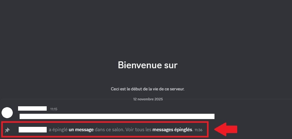 Notification indiquant un message épinglé dans le channel