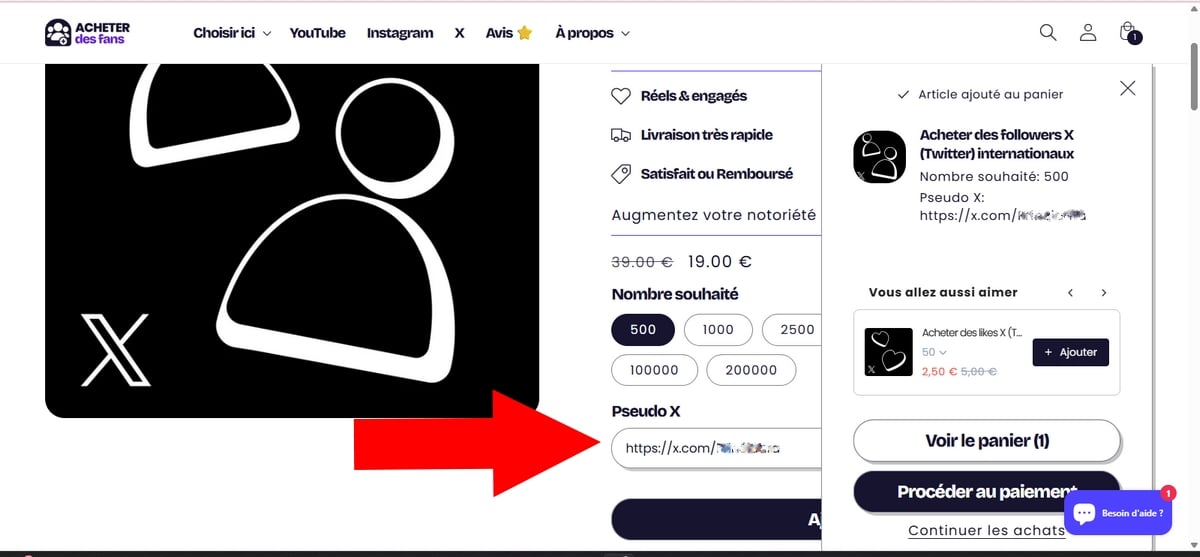 必要な購読者数とプロフィールへのリンクを選択した後、バスケットに追加する X