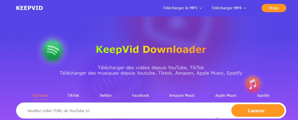 Image capture from Keepvid website