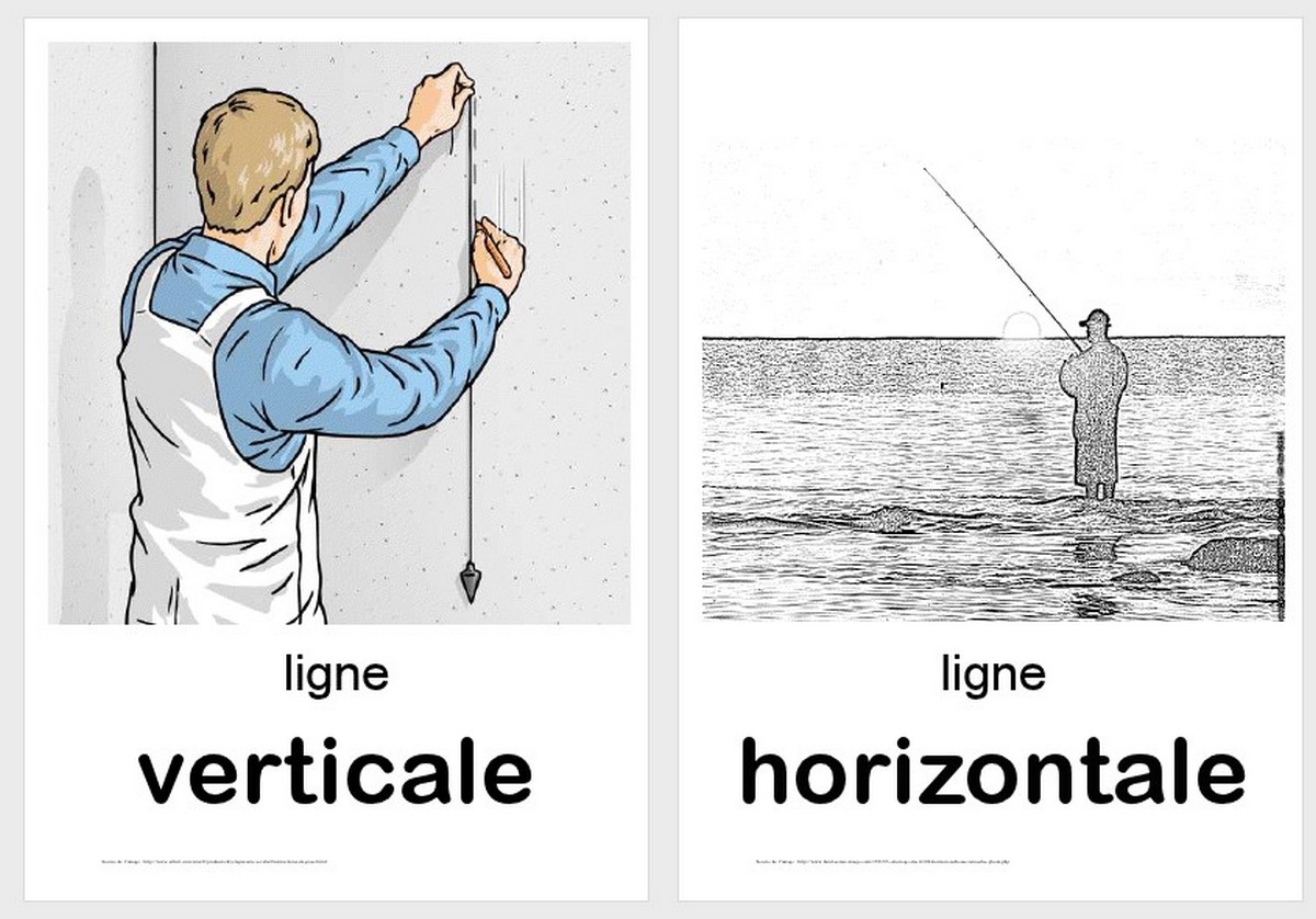 Illustration en image de la ligne verticale et horizontale