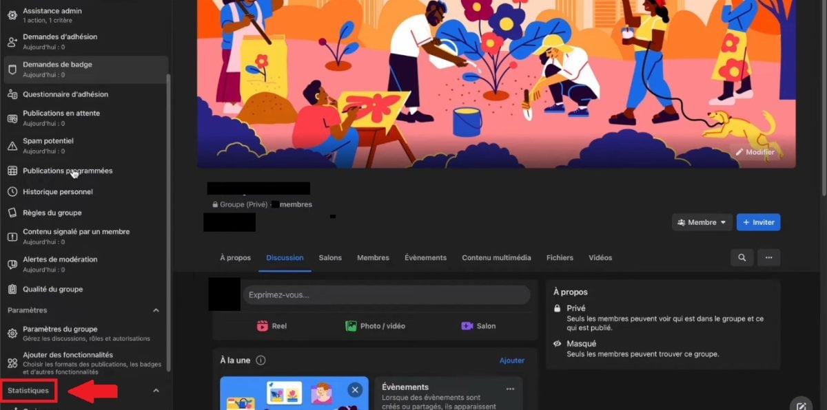 Вариант статистики в группе Facebook