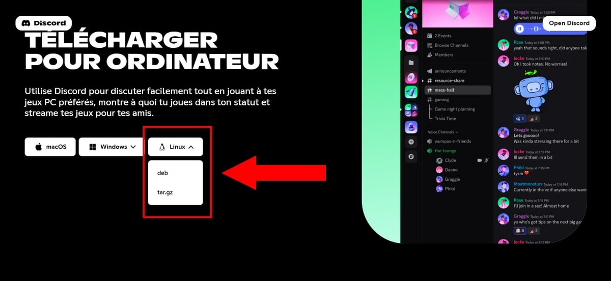 Download Discord på Linux med de 2 tilgængelige muligheder