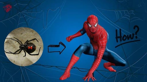 Imagem do homem-aranha