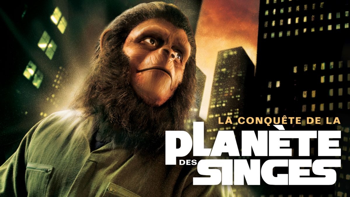 Bildillustration zu unserem Artikel: "In welcher Reihenfolge sollte man sich den Planeten der Affen ansehen?".