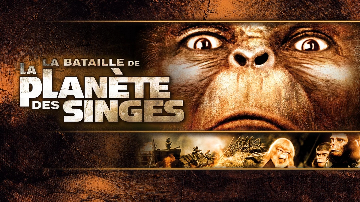 Illustration en image pour notre article :"Dans quel ordre regarder la planète des singes ?" 