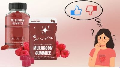 Mushroom gummies, aux vertus thérapeutiques incomparables