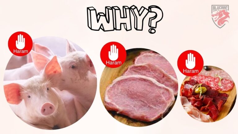 Illustration for our article "Why pork is Haram".