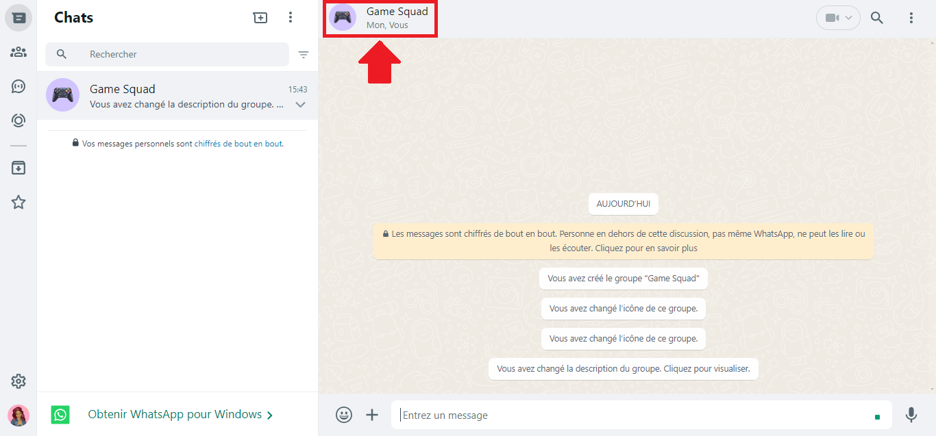 Captura de ecrã que mostra uma conversa de grupo no WhatsApp