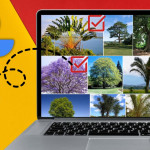Google Photo サイズで並べ替える方法」記事用のイメージイラスト。