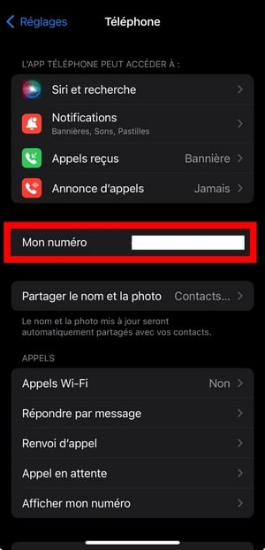 Linjen »Mit nummer« i indstillingerne under »Telefon« på iPhone
