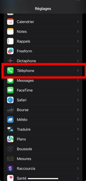 Indstillingsmenuen på iPhone til at vise sit telefonnummer