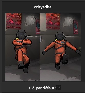 The Prisyadka emote with the More Emotes mod 