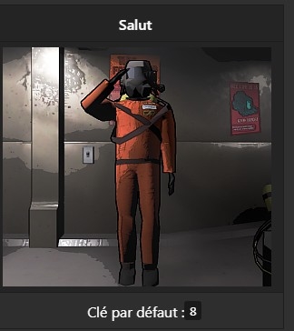 The salute emote in pictures with the More Emotes mod