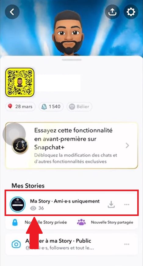 「マイストーリー」セクションと、目のアイコンの下にある視聴者数を確認してください。Alucare.fr