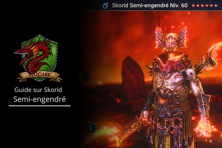 Guide sur l'utilisation de Skorid Semi-engendré