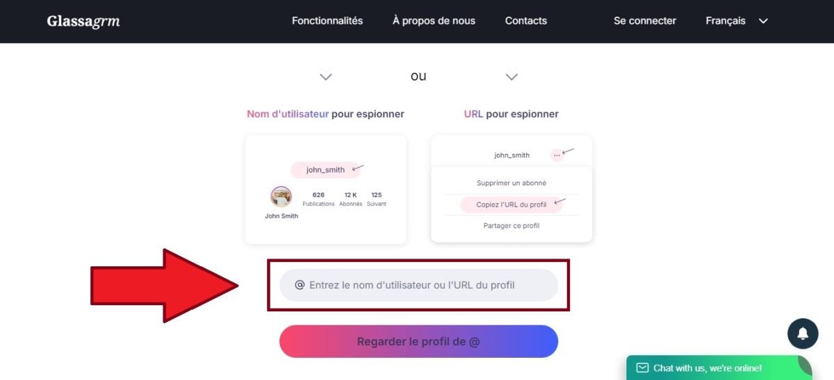 Introduza o nome de utilizador do Instagram da conta que pretende visualizar