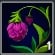 Blume
