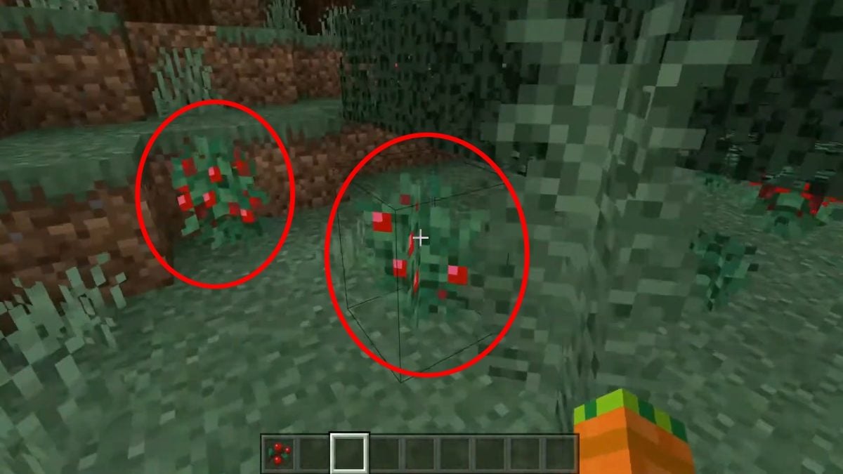 Охота за сладкими ягодами в Minecraft