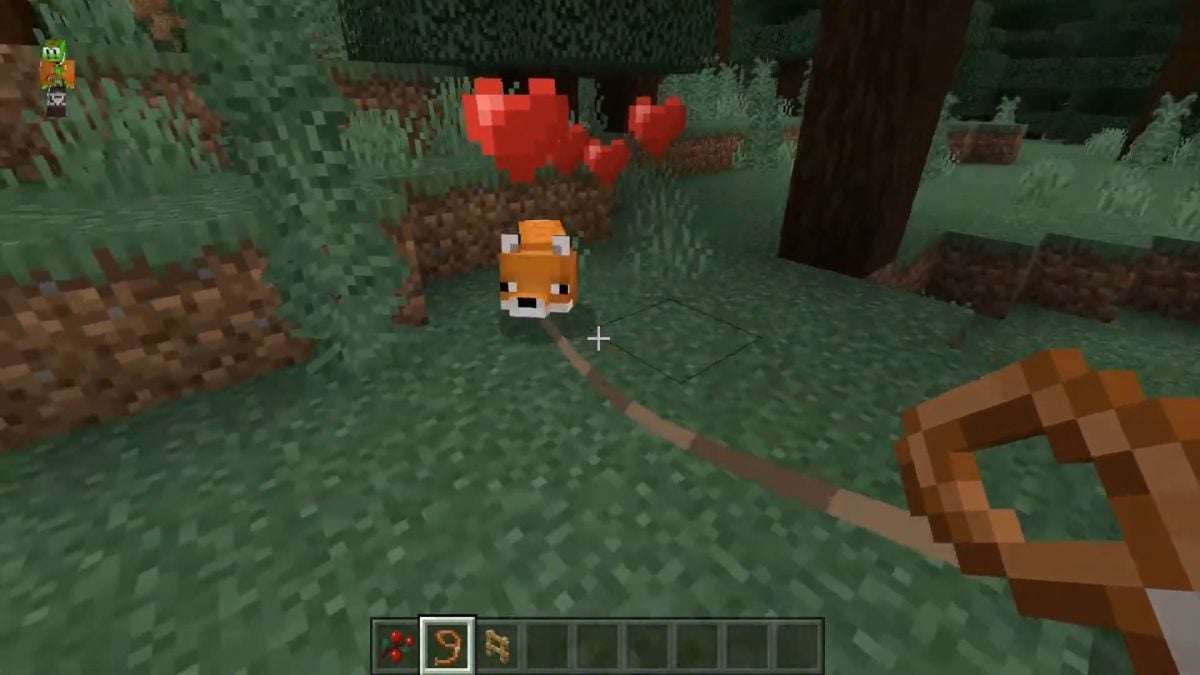Прирученная лиса в Minecraft!