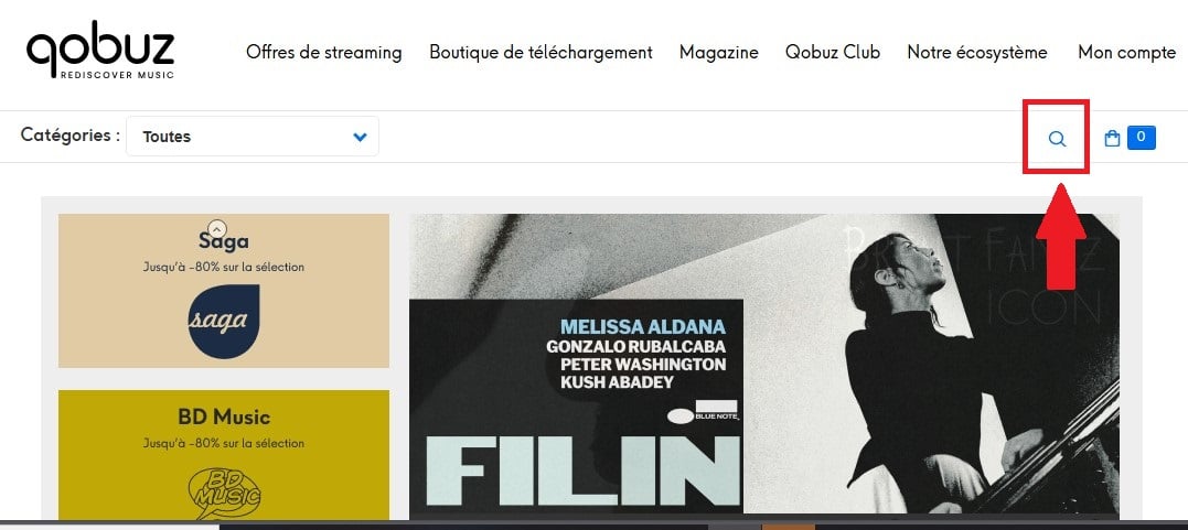 Barra de búsqueda de Qobuz