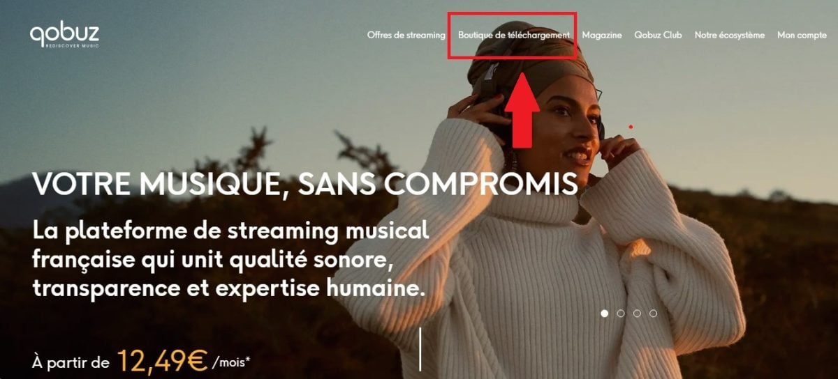 La opción Tienda de descargas en Qobuz