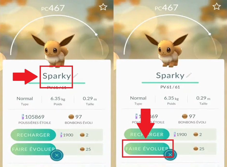 Ahora todo lo que tienes que hacer es convertir tu Evoli en un Voltali
