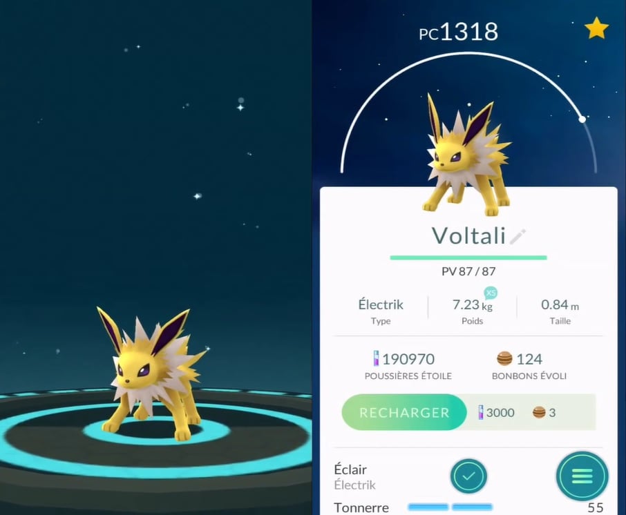 Si tienes suerte, tu Evoli se transformará en un soberbio Voltali.