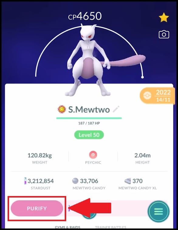 Basta um clique para purificar o teu Mewtwo Ombre 