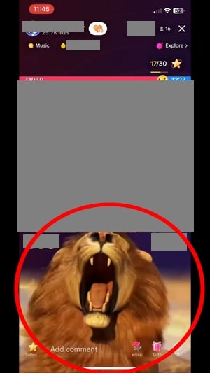 How much does it cost to send a lion on TikTok?