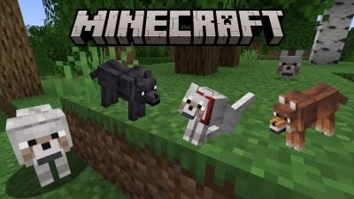 Illustration of taming a wolf Minecraft