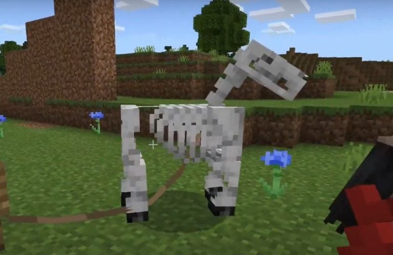 Comment Faire Spawn Un Cheval Squelette Apprivoiser Minecraft