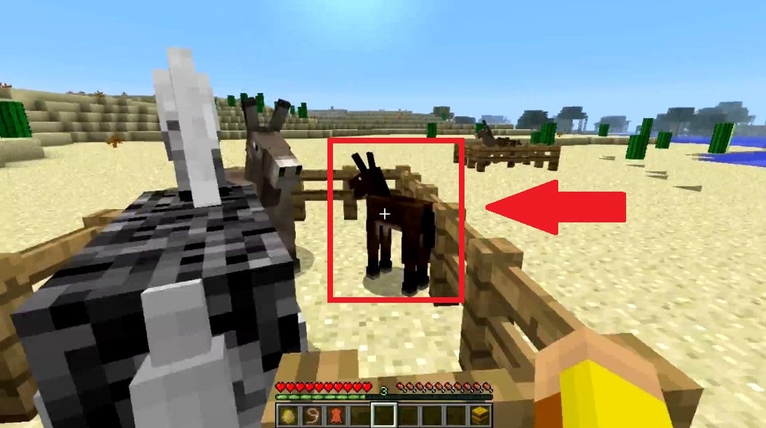 Progenie de caballos sobre Minecraft (mula)