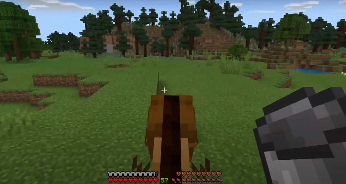Visión del jugador a horcajadas Minecraft