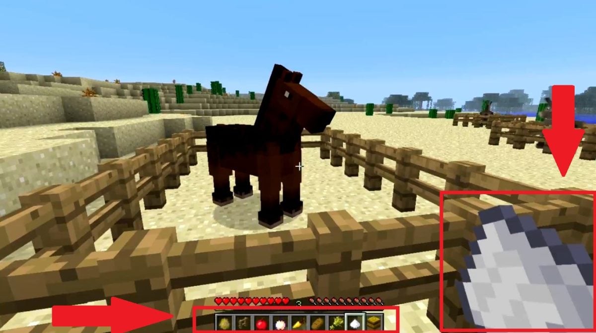 Выбор корма для кормления лошади на Minecraft