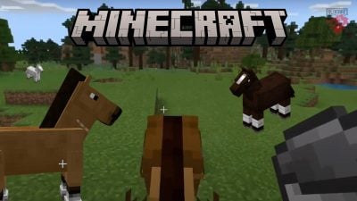 Illustration de l'apprivoisement d'un cheval dans Minecraft