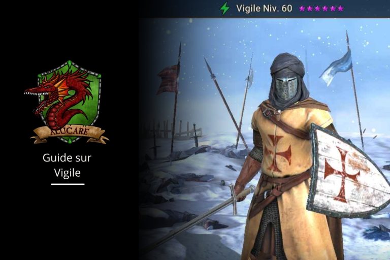 Guida a Vigile