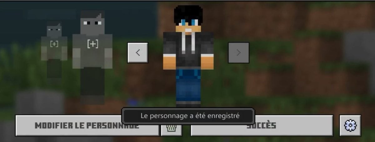 Vista general del personaje Minecraft con el nuevo skin