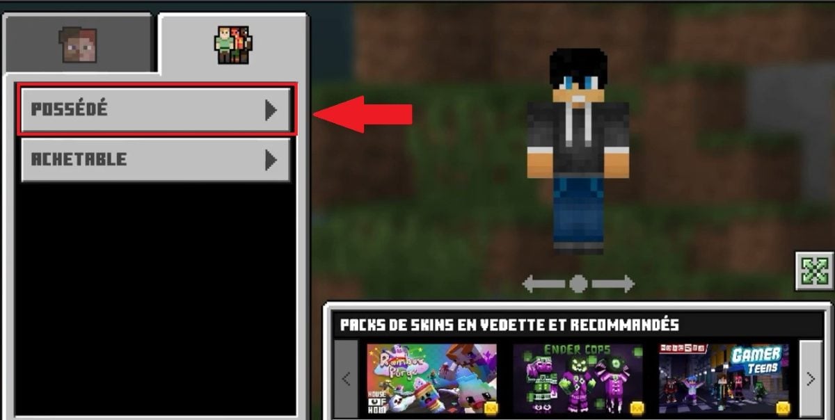Opción Skins propiedad en Minecraft móvil
