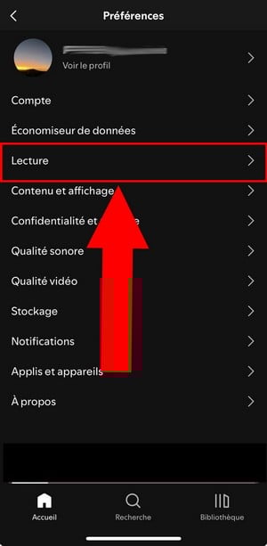 Playback in Spotify Preferences