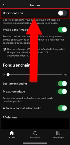 Spotify offline mode