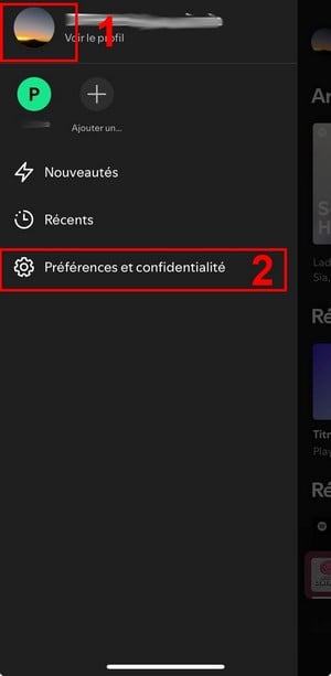 Profile then Preferences and Privacy